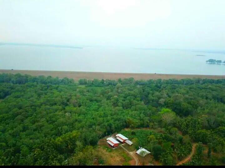 Nil Bawana Nature Resort อุดาวาลาเว ภายนอก รูปภาพ