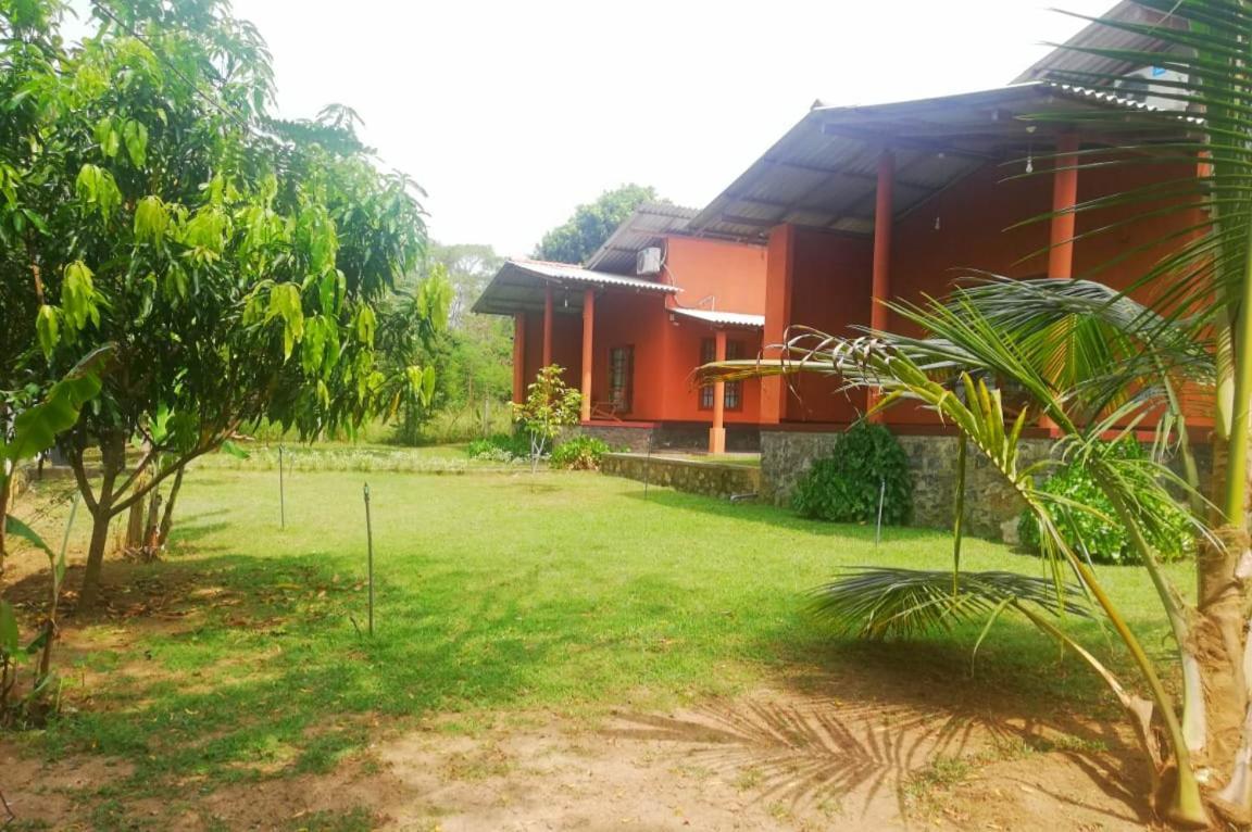 Nil Bawana Nature Resort อุดาวาลาเว ภายนอก รูปภาพ