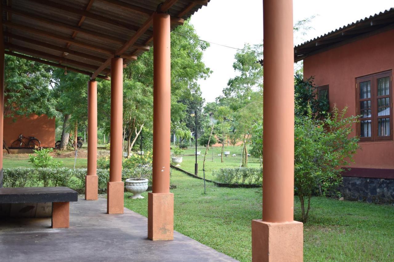 Nil Bawana Nature Resort อุดาวาลาเว ภายนอก รูปภาพ