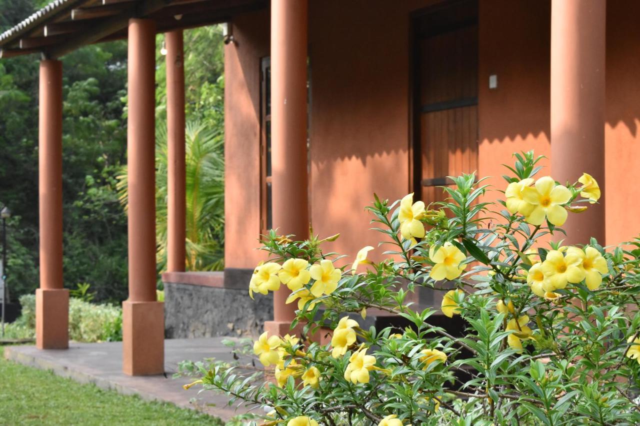 Nil Bawana Nature Resort อุดาวาลาเว ภายนอก รูปภาพ