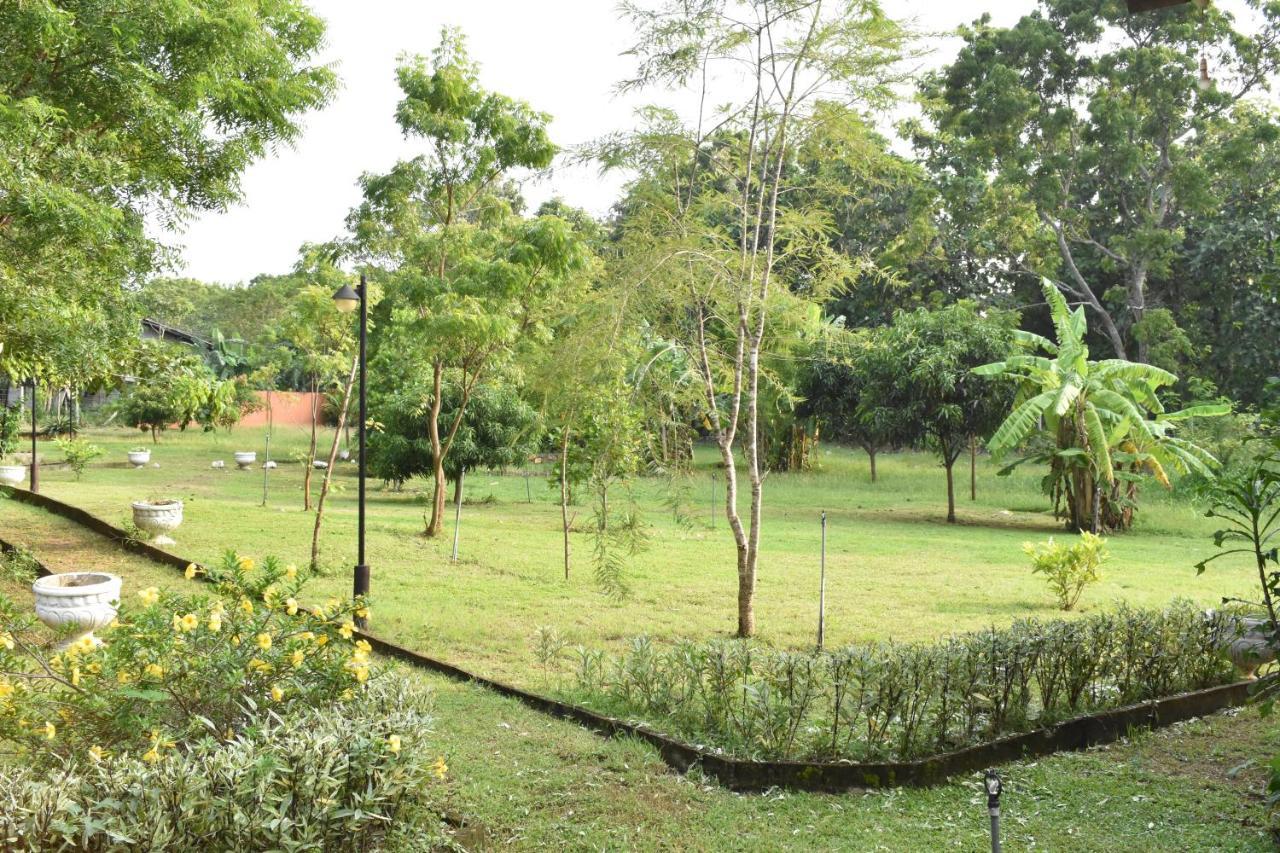 Nil Bawana Nature Resort อุดาวาลาเว ภายนอก รูปภาพ