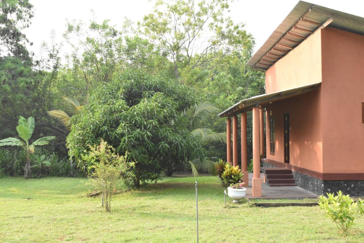 Nil Bawana Nature Resort อุดาวาลาเว ภายนอก รูปภาพ